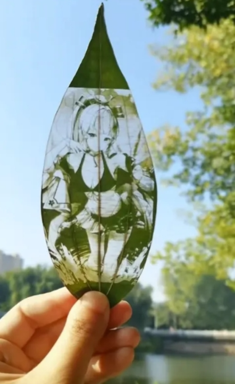 没人要的树叶出海成爆款，一片就卖50美金