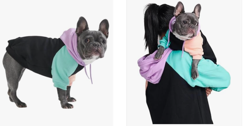 给狗穿的衣服，让卖家年入千万美金