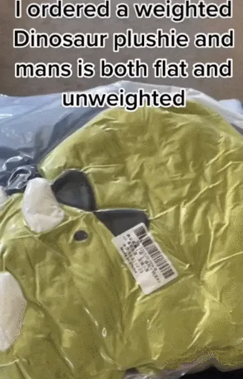 毛绒玩具卷入年轻市场，在TikTok美区卖脱销