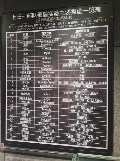 AMS是哪个机场的三字代码,AMS具体地址介绍