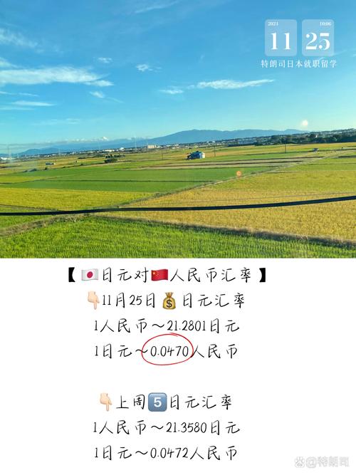 日媒：日元汇率再创新低，日政府将更换主管外汇事务高官