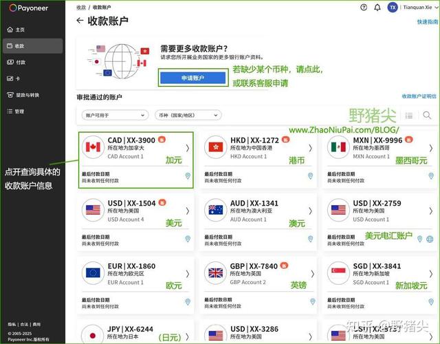 payoneer派安盈怎么提现?解析派安盈Payoneer账户申请所需条件