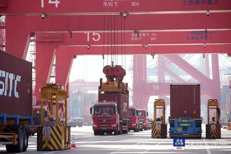 探索深圳国际货运有限公司：连接世界的物流桥梁
