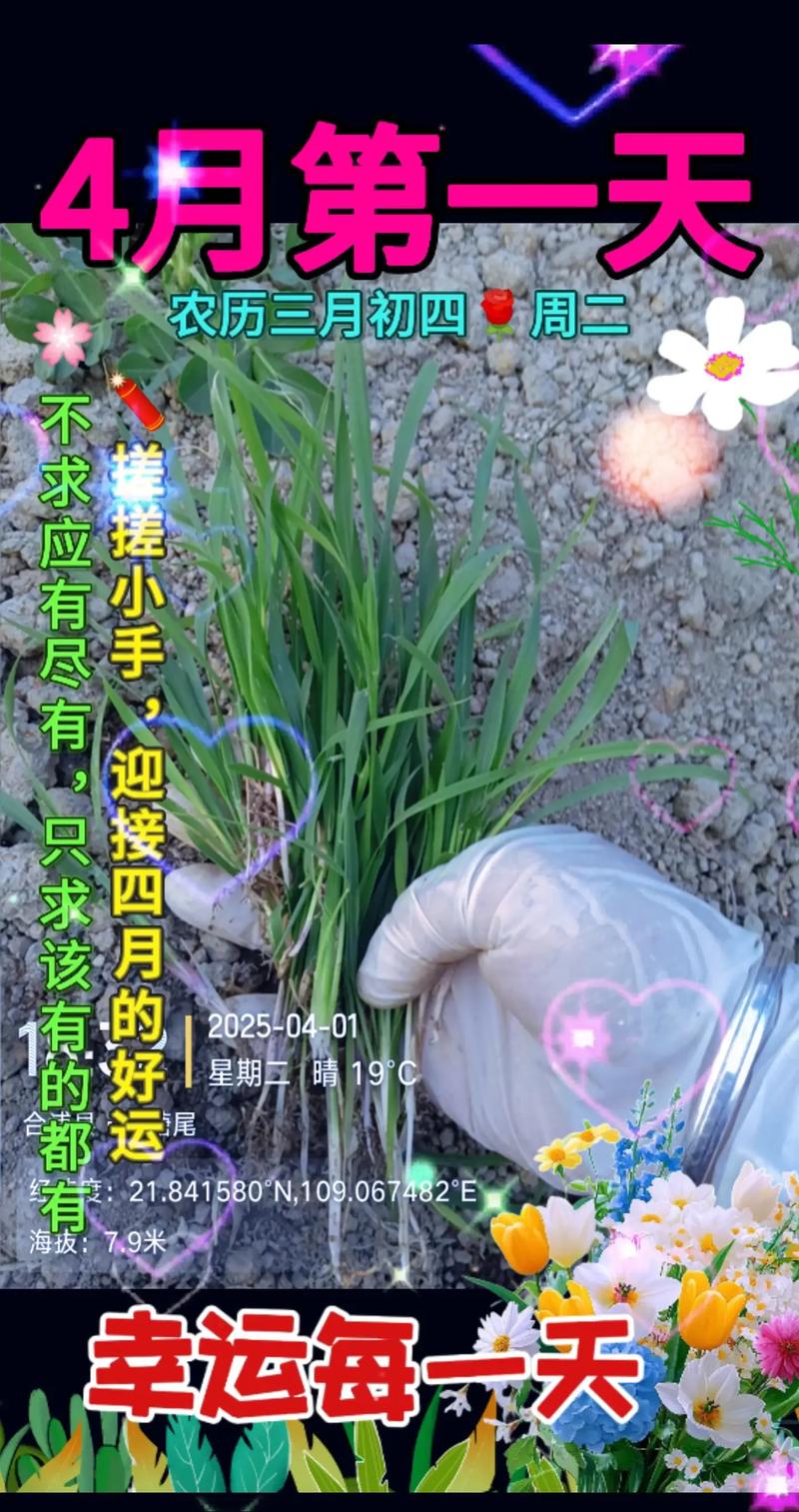 种田能手为何从容“放手”